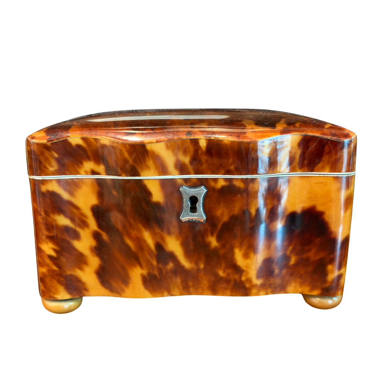 19th-Century English Regency Tortoiseshell Tea Caddy