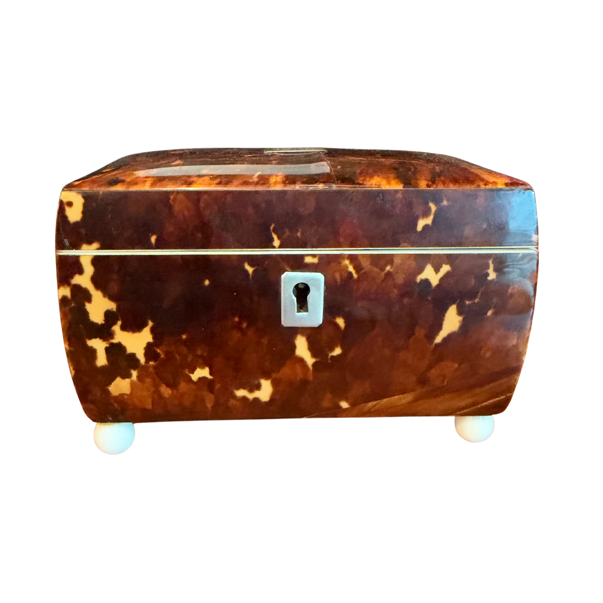 19th-Century English Regency Tortoiseshell Tea Caddy with Ivory-Style Feet