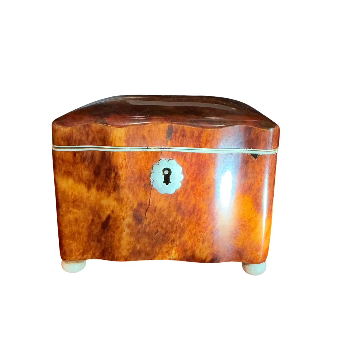 19th-Century Genuine Tortoiseshell Single Compartment Tea Caddy with Silver Scalloped Escutcheon