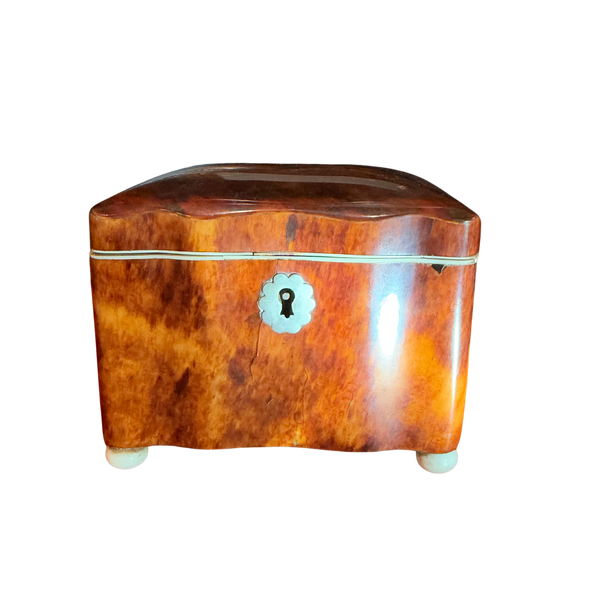 19th-Century Genuine Tortoiseshell Single Compartment Tea Caddy with Silver Scalloped Escutcheon