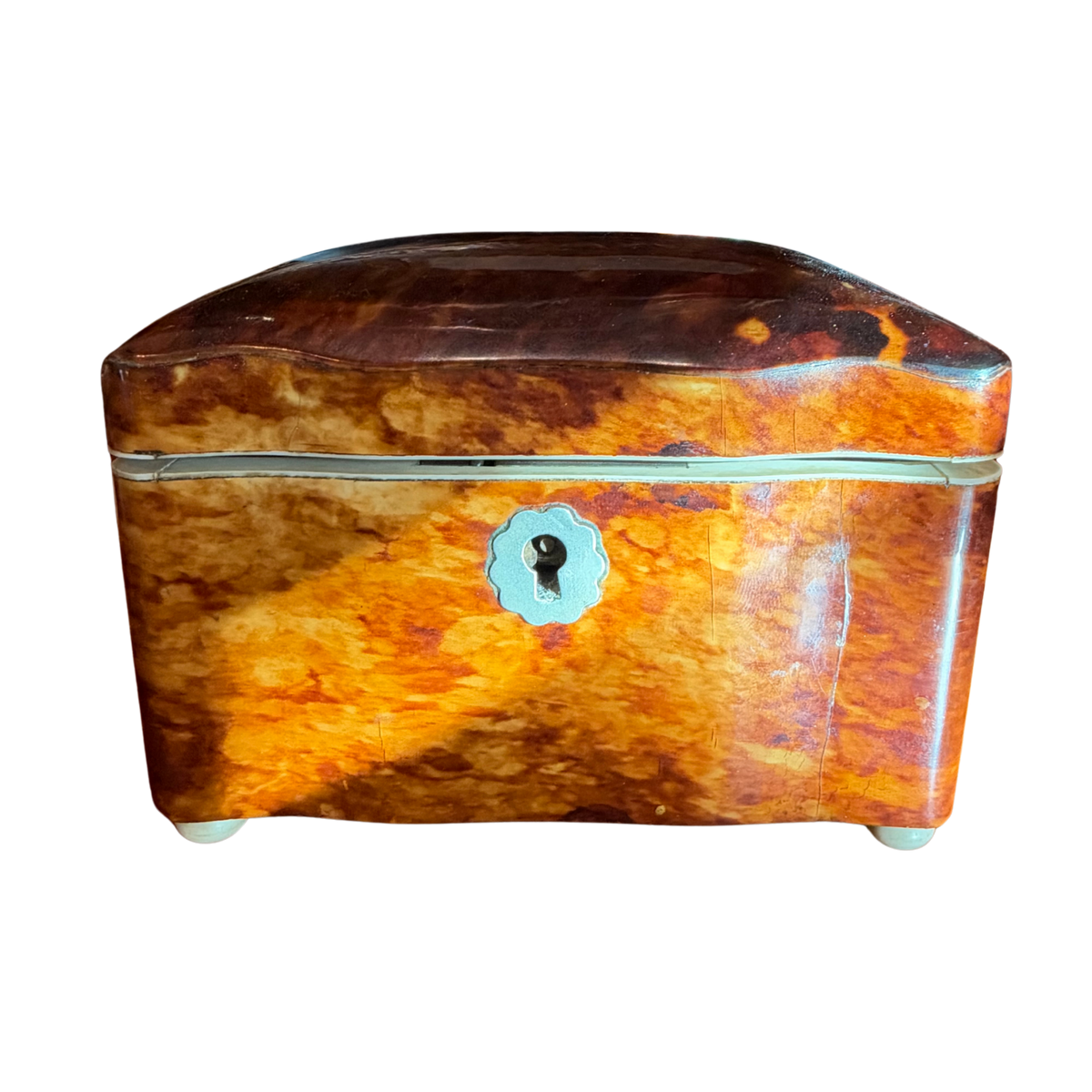19th-Century Genuine Tortoiseshell Single Compartment Tea Caddy with Silver Scalloped Escutcheon